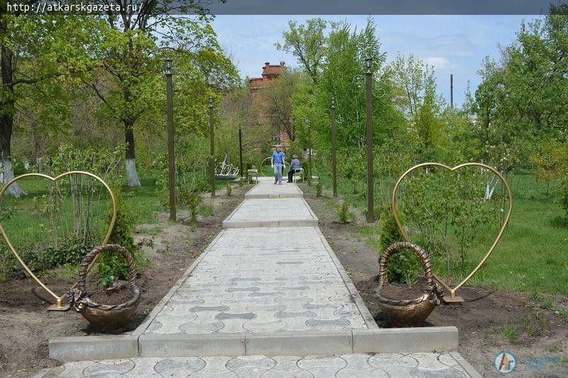 10 кустарников туи украсили сегодня Аллею молодоженов (ФОТО)