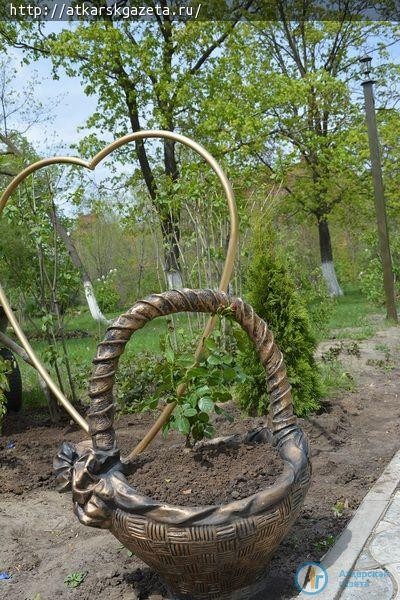 10 кустарников туи украсили сегодня Аллею молодоженов (ФОТО)