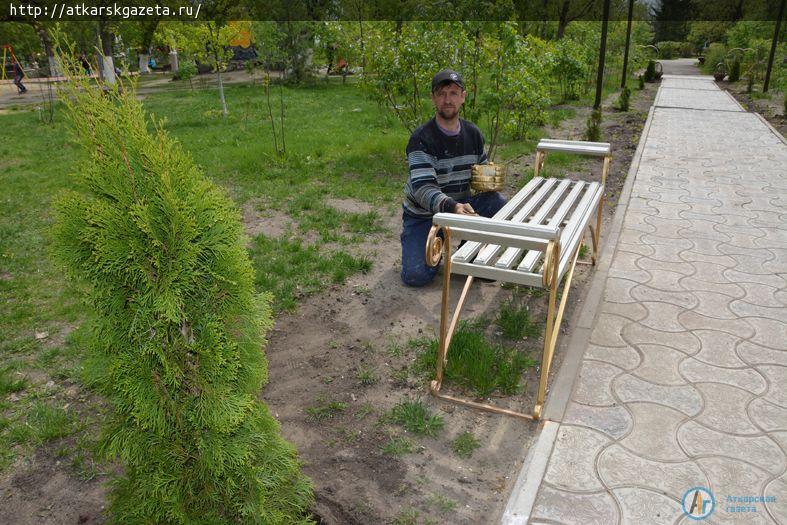 10 кустарников туи украсили сегодня Аллею молодоженов (ФОТО)