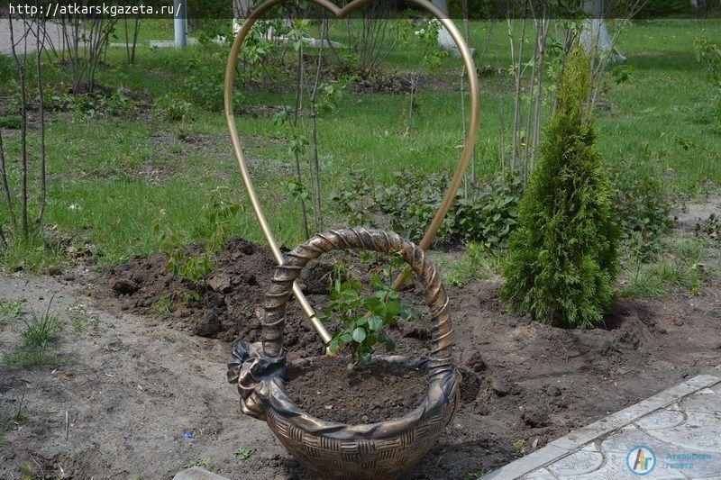 10 кустарников туи украсили сегодня Аллею молодоженов (ФОТО)