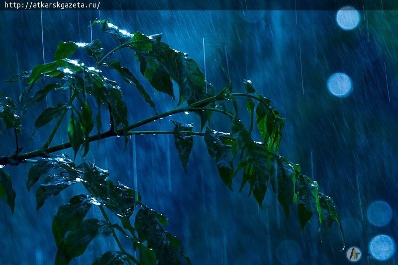 13 литров воды на каждый квадратный метр выпало в Аткарске за минувшую ночь