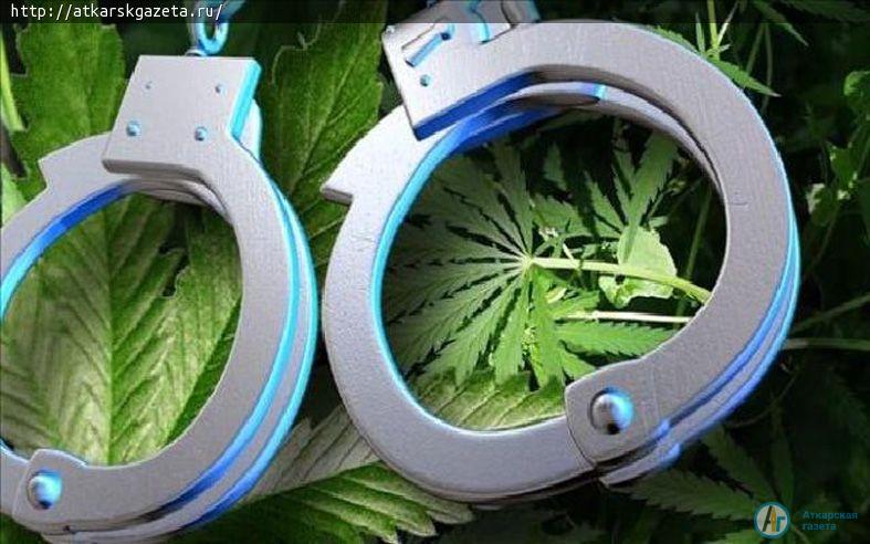 147 квадратных метров дикорастущей конопли сожгли в Аткарском районе