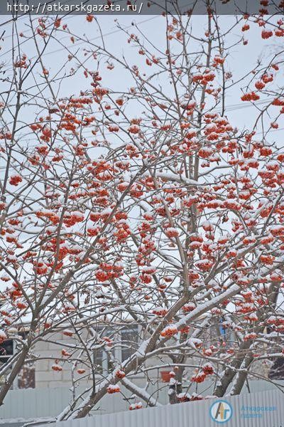 15-минутный снегопад накрыл город белым пушистым покрывалом (ФОТОРЕПОРТАЖ)