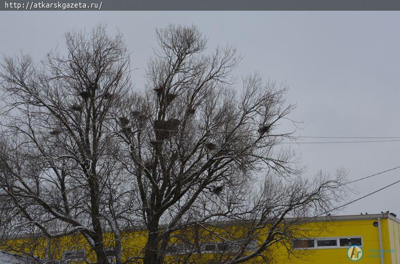 15-минутный снегопад накрыл город белым пушистым покрывалом (ФОТОРЕПОРТАЖ)
