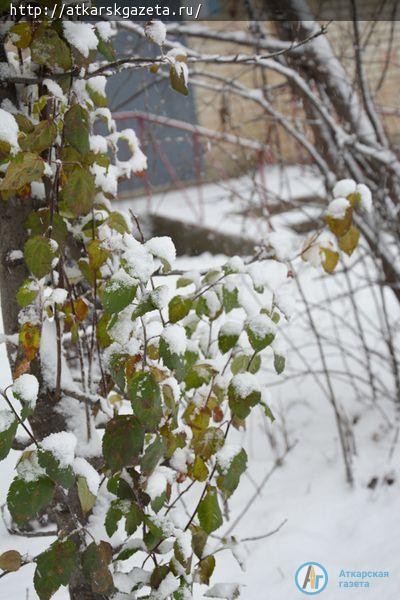 15-минутный снегопад накрыл город белым пушистым покрывалом (ФОТОРЕПОРТАЖ)