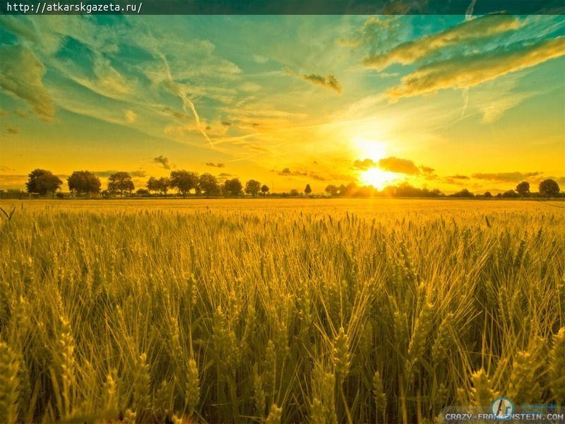 26 июля в народном календаре