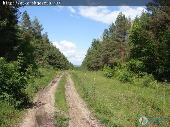 Александр МЕЛЬНИЧЕНКО в свободное время пишет картины (ФОТО)
