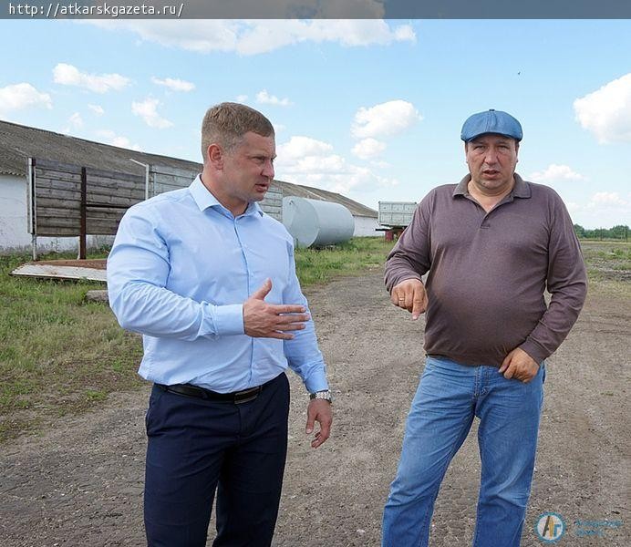 Аткарские фермеры намерены развить местное животноводство