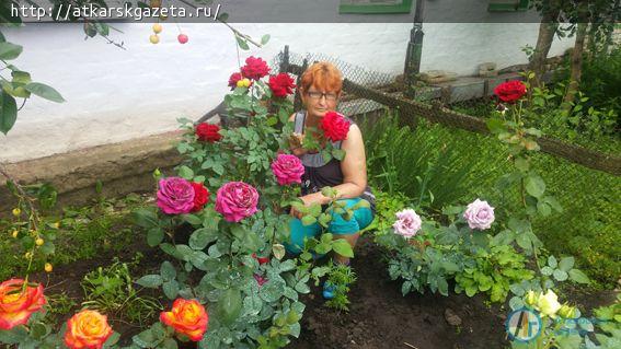 Аткарские розы помогают инвалиду I группы бороться с болезнями (ФОТО)