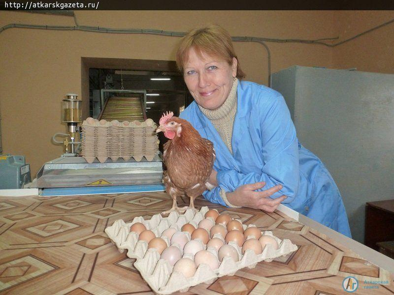 Аткарский район реализует стратегию самообеспечения