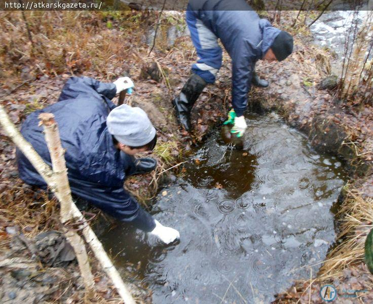 Аткарской «Свече» доверено вернуть солдата домой (ФОТО)
