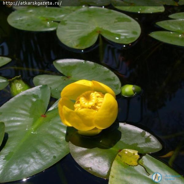 Метеорологи обещают кратковременные дожди с градом