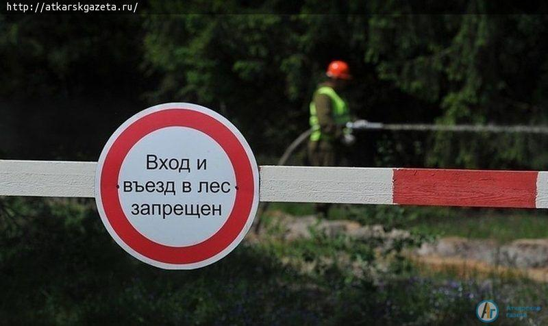 Министр экологии Саратовской области продлил запрет на посещение лесов