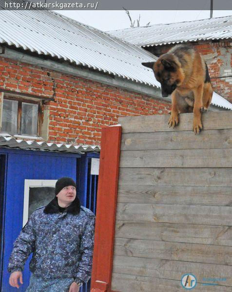 На дне открытых дверей в полиции показали процесс задержания преступника