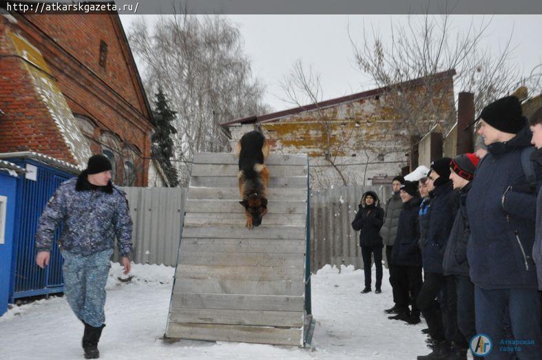 На дне открытых дверей в полиции показали процесс задержания преступника