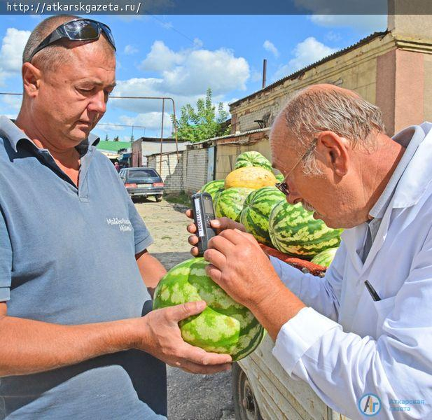 На городском рынке Аткарска проверили дыни и арбузы на содержание нитратов (ФОТО)