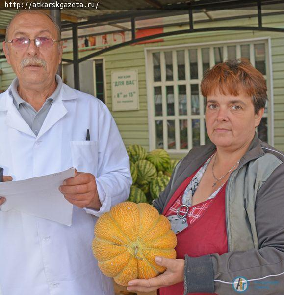 На городском рынке Аткарска проверили дыни и арбузы на содержание нитратов (ФОТО)