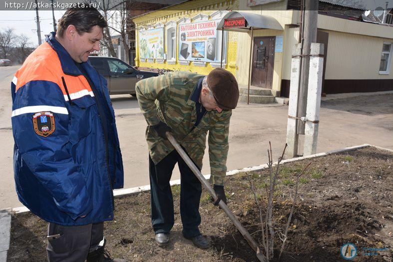 На улицах Аткарска приступили к посадке деревьев