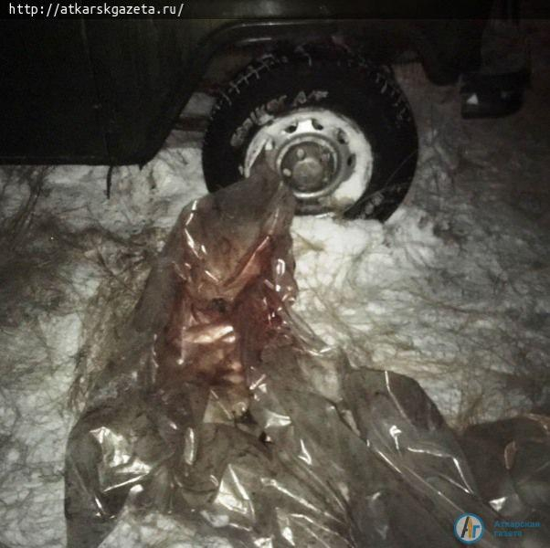 Ночью аткарские полицейские открыли огонь по браконьерам (ФОТО)