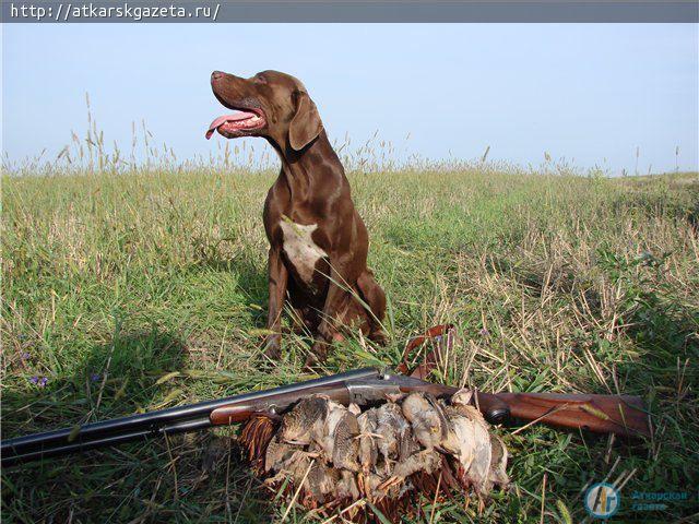 Охота на пернатую дичь откроется с первой субботы сентября