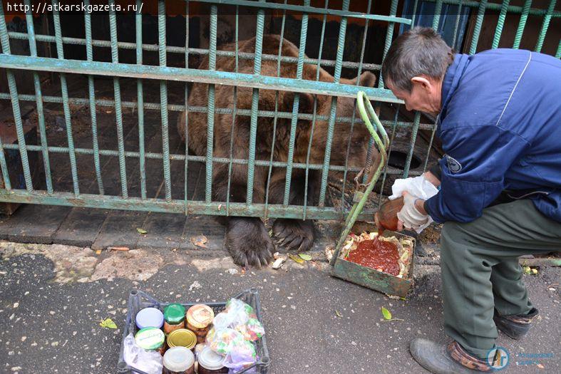 Первоклассники из села Земляные Хутора прислали медведю Савелию сладкие подарки