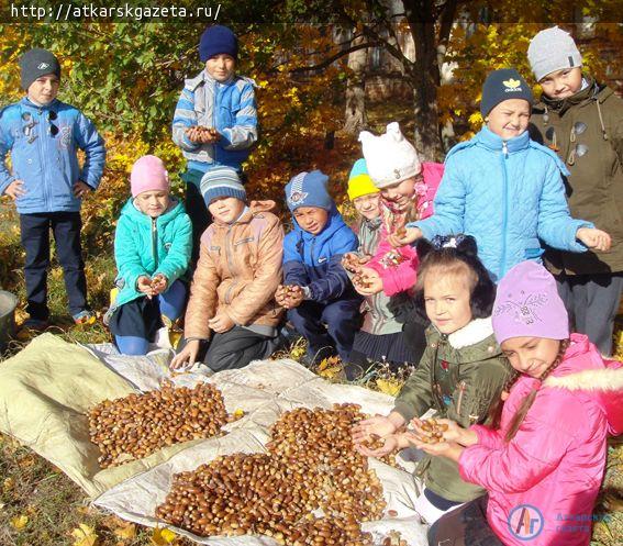 Первоклассники стали лидерами  школы по сбору желудей