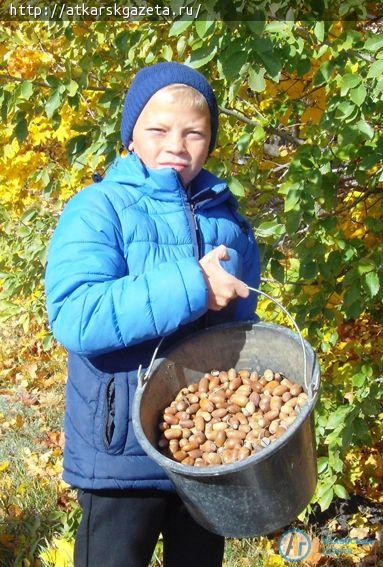 Первоклассники стали лидерами  школы по сбору желудей