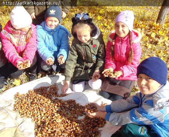 Первоклассники стали лидерами  школы по сбору желудей