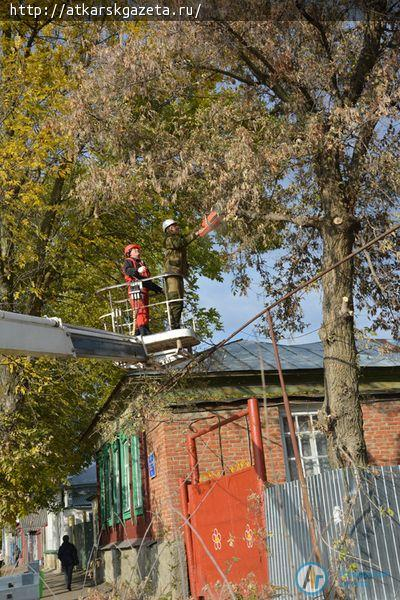 По поручению главы района территорию детского сада избавили от таящих угрозу деревьев (ФОТО)