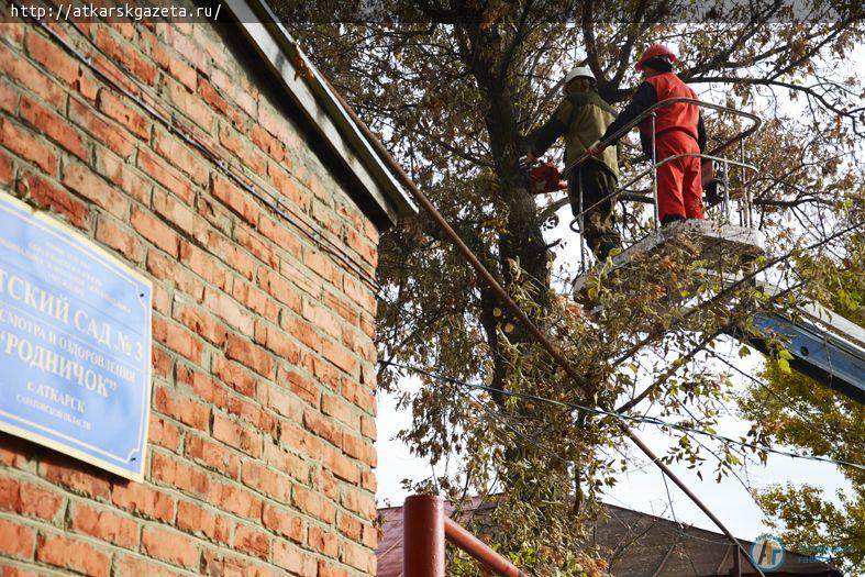 По поручению главы района территорию детского сада избавили от таящих угрозу деревьев (ФОТО)