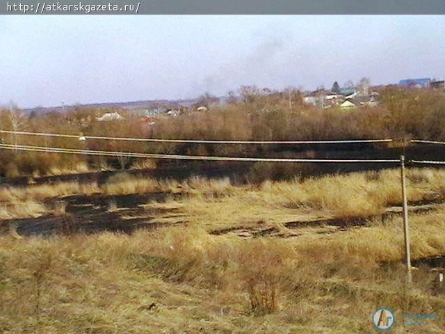 Природный пожар в Романцовом саду тушили более двух часов
