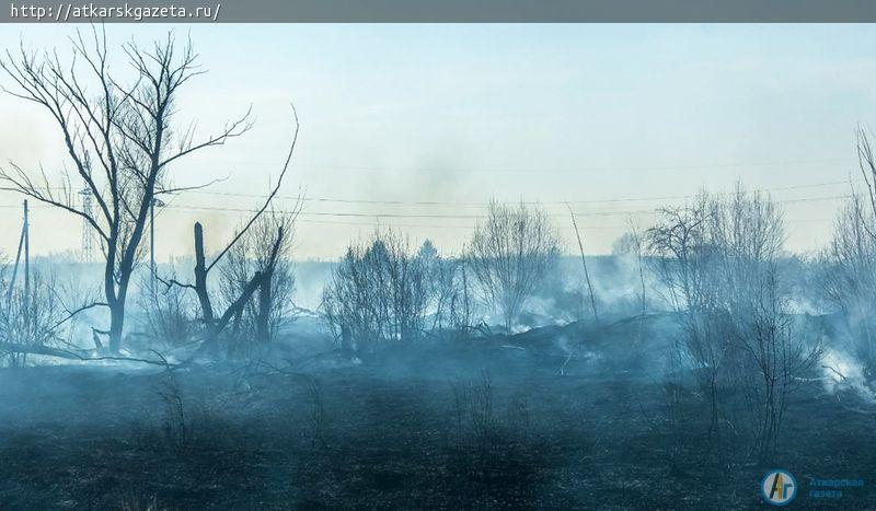 Природный пожар в Романцовом саду тушили более двух часов