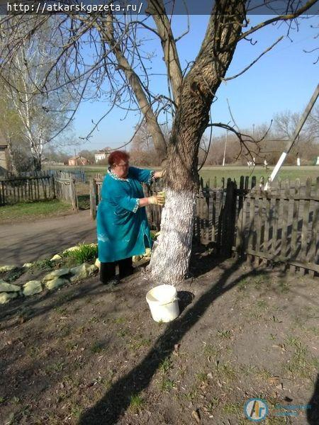 Рабочий день в Доме культуры села Большая Екатериновка начинается с полива цветов