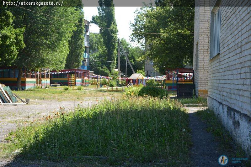 Рудбекия и абрикосы украшают двор на улице Серова в Аткарске (ФОТОРЕПОРТАЖ)