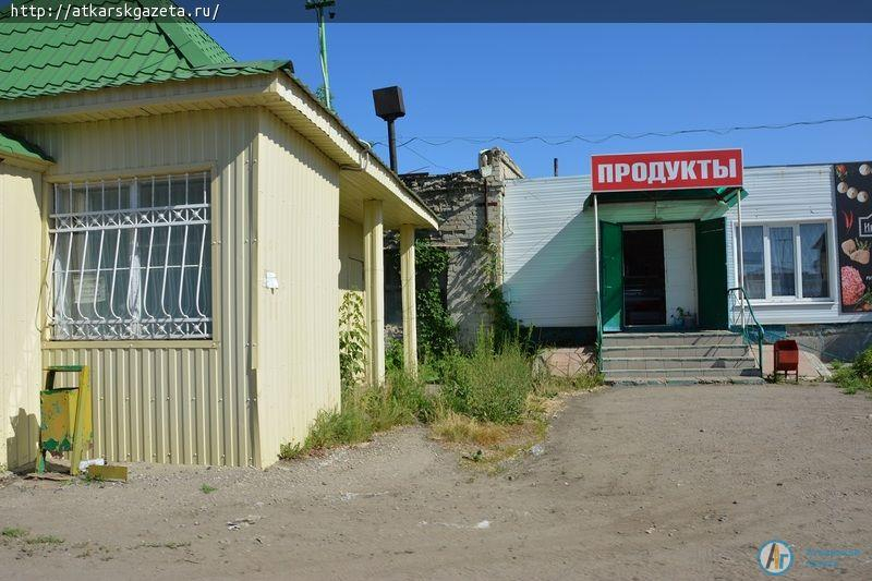 Рудбекия и абрикосы украшают двор на улице Серова в Аткарске (ФОТОРЕПОРТАЖ)
