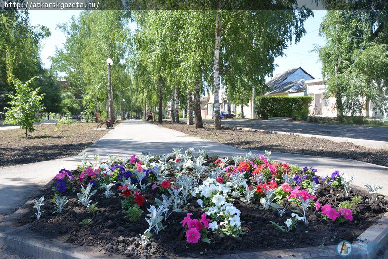 Рудбекия и абрикосы украшают двор на улице Серова в Аткарске (ФОТОРЕПОРТАЖ)