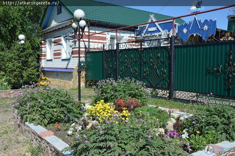 Рудбекия и абрикосы украшают двор на улице Серова в Аткарске (ФОТОРЕПОРТАЖ)