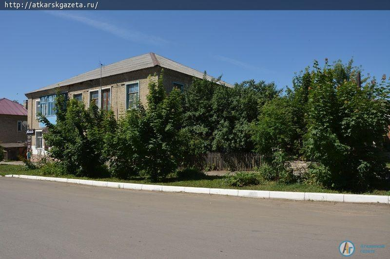 Рудбекия и абрикосы украшают двор на улице Серова в Аткарске (ФОТОРЕПОРТАЖ)