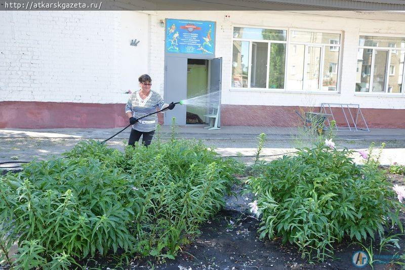 Рудбекия и абрикосы украшают двор на улице Серова в Аткарске (ФОТОРЕПОРТАЖ)