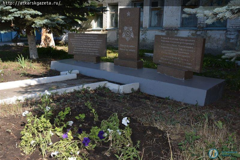 Рудбекия и абрикосы украшают двор на улице Серова в Аткарске (ФОТОРЕПОРТАЖ)