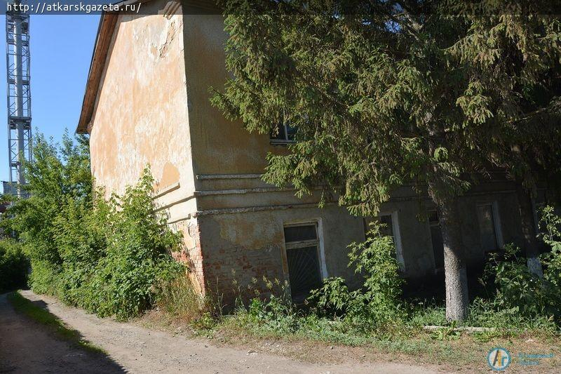 Рудбекия и абрикосы украшают двор на улице Серова в Аткарске (ФОТОРЕПОРТАЖ)