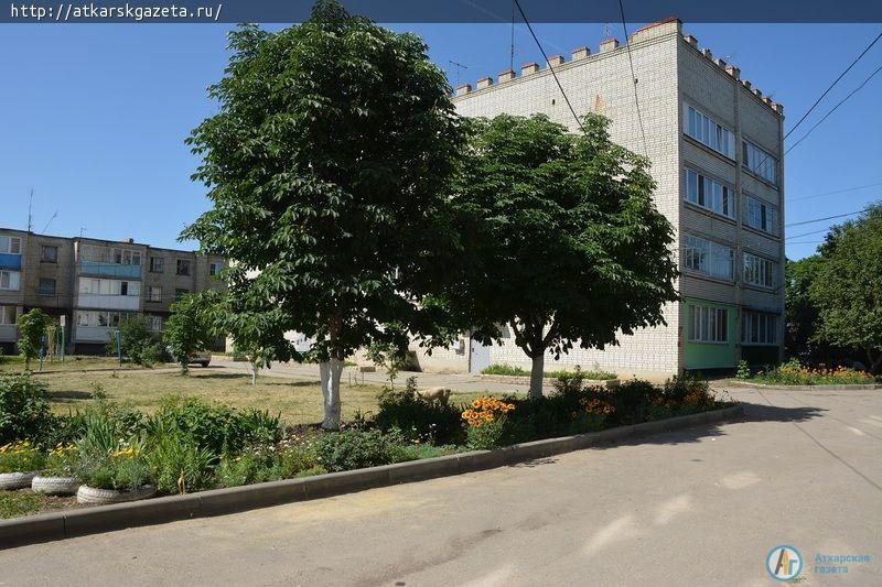 Рудбекия и абрикосы украшают двор на улице Серова в Аткарске (ФОТОРЕПОРТАЖ)
