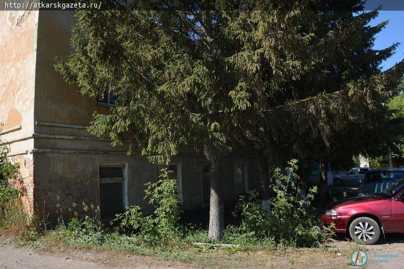 Рудбекия и абрикосы украшают двор на улице Серова в Аткарске (ФОТОРЕПОРТАЖ)