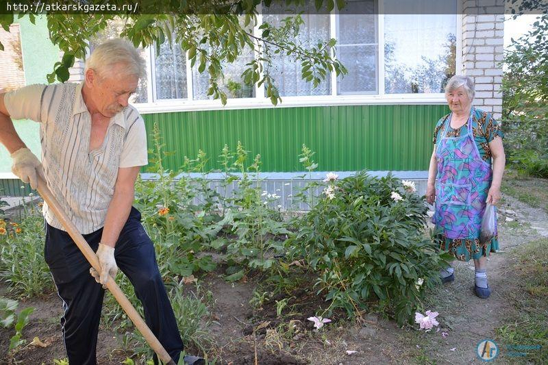 Рудбекия и абрикосы украшают двор на улице Серова в Аткарске (ФОТОРЕПОРТАЖ)