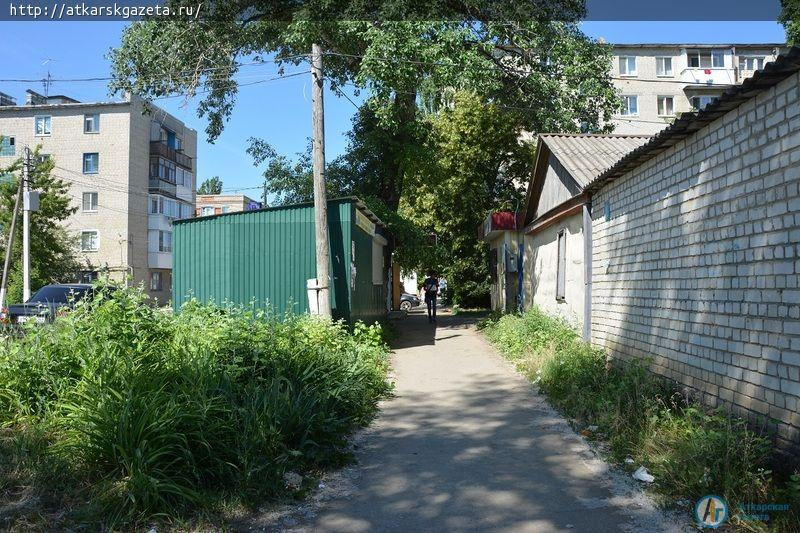 Рудбекия и абрикосы украшают двор на улице Серова в Аткарске (ФОТОРЕПОРТАЖ)