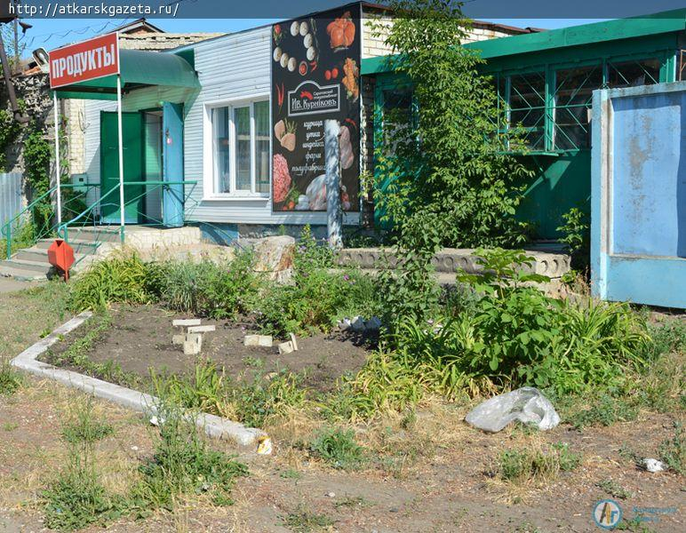 Рудбекия и абрикосы украшают двор на улице Серова в Аткарске (ФОТОРЕПОРТАЖ)