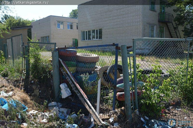 Рудбекия и абрикосы украшают двор на улице Серова в Аткарске (ФОТОРЕПОРТАЖ)