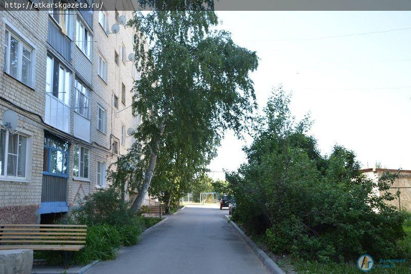 Рудбекия и абрикосы украшают двор на улице Серова в Аткарске (ФОТОРЕПОРТАЖ)
