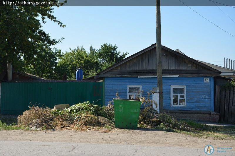 Рудбекия и абрикосы украшают двор на улице Серова в Аткарске (ФОТОРЕПОРТАЖ)