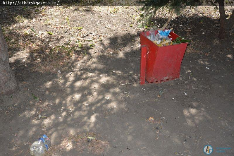 Рудбекия и абрикосы украшают двор на улице Серова в Аткарске (ФОТОРЕПОРТАЖ)